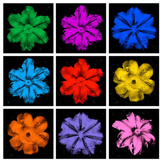 Name: Power Flower Series
Medium: Silk Screen/Diamond Dust.
Size: 36 x 36 in
Edition: 5
Year: 2019