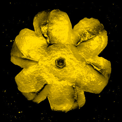 Name: Power Flower Series
Medium: Silk Screen/Diamond Dust.
Size: 36 x 36 in
Edition: 5
Year: 2019