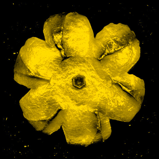 Name: Power Flower Series
Medium: Silk Screen/Diamond Dust.
Size: 36 x 36 in
Edition: 5
Year: 2019