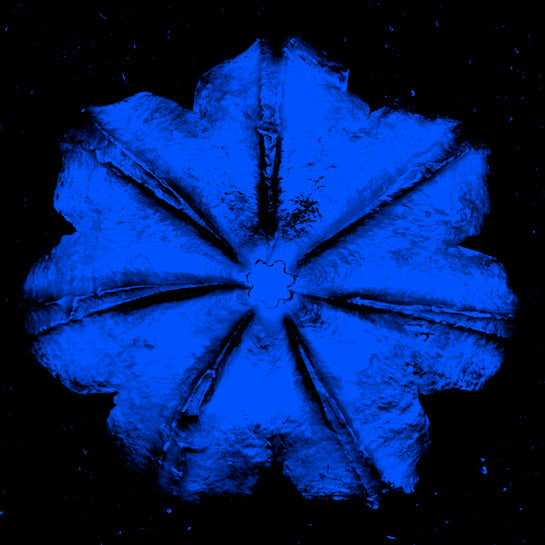 Name: Power Flower Series
Medium: Silk Screen/Diamond Dust.
Size: 36 x 36 in
Edition: 5
Year: 2019