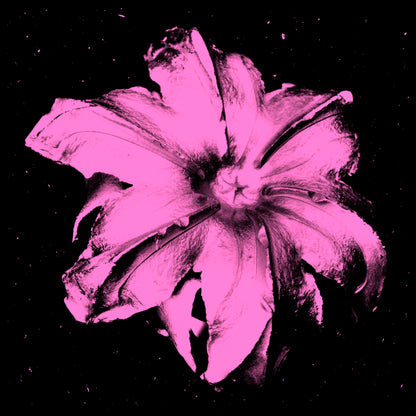 Name: Power Flower Series
Medium: Silk Screen/Diamond Dust.
Size: 36 x 36 in
Edition: 5
Year: 2019
