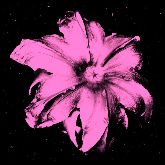 Name: Power Flower Series
Medium: Silk Screen/Diamond Dust.
Size: 36 x 36 in
Edition: 5
Year: 2019