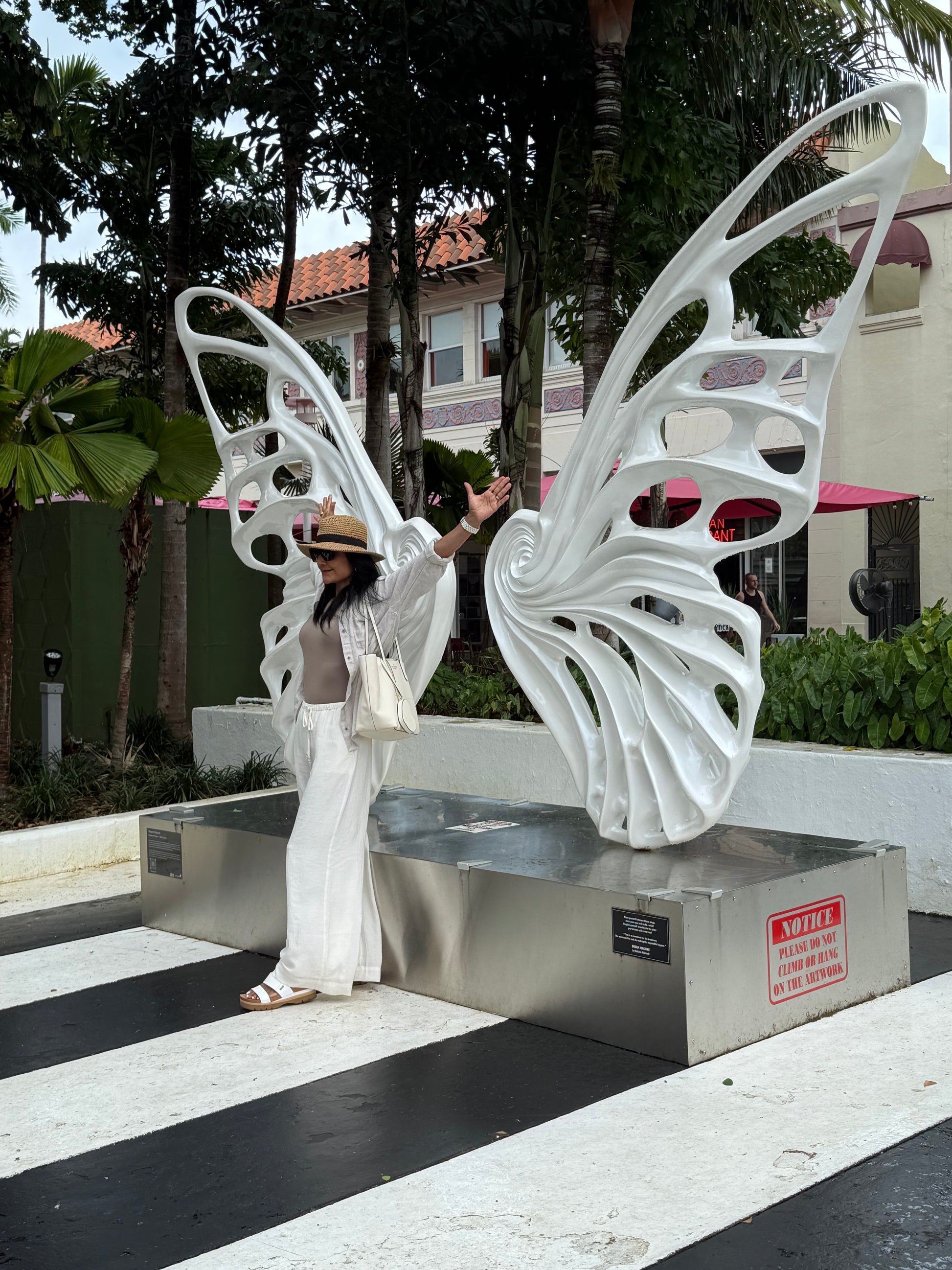 Name: Dream Machine I 
 Medium: Painted 
Fiberglass Sculpture with stainless structure and Base.
 Size: 13’ x 4’ x 9’5 ( Wings + Base).
 Year: 2017